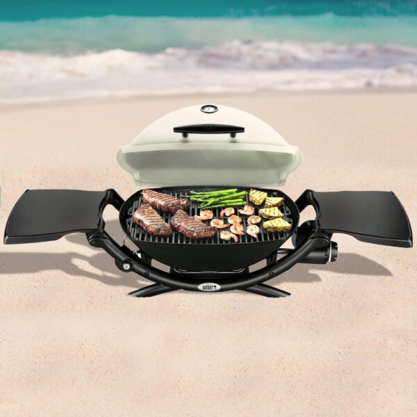 Weber Q 2200 Portable Propane Gas Grill - Titanium - 54060001